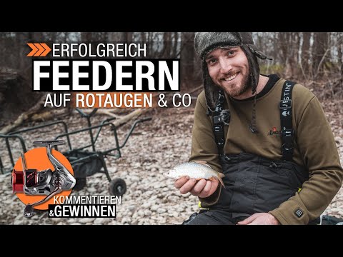 Erfolgreich Feedern auf Rotaugen & Co: Friedfischangeln im Winter