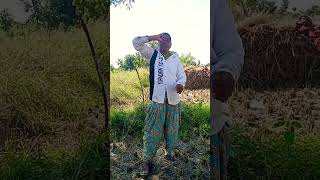 Download lagu gulabhi laa jendale ramaka  #vira mp3