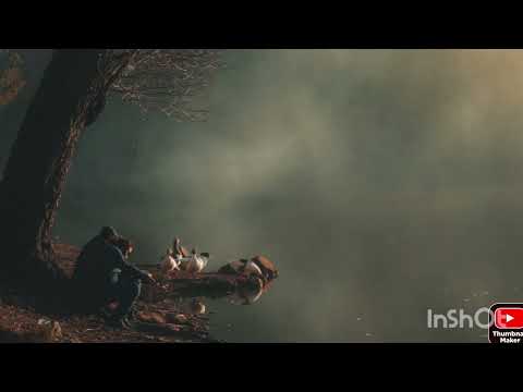 Emasik = Niezdecydowana miłość 💔