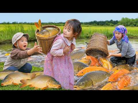 Lucky Fishing Day after Discovering Pond Full of Giant Fish | Freely Collect Fish | Village Life