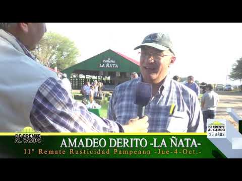DE FRENTE AL CAMPO junto al SECTOR PRODUCTIVO PAMPEANO - AMADEO DERITO-