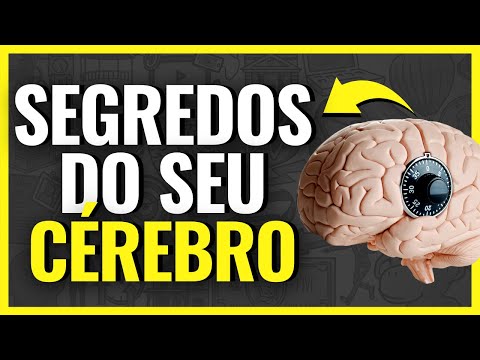 The 6 Neuroscience Principles That Can Change Your Life