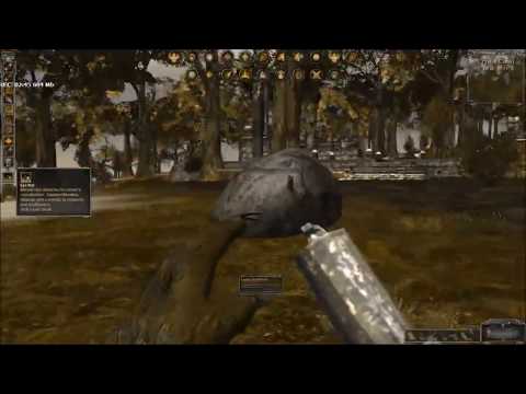 Darkfall Online, Chasing Vintage out of Crystal Coast