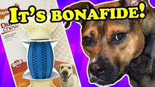 HUGE Nylabone chew toy - DOG TOY REVIEWS | Nylabone DuraChew