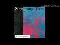 Screaming Trees - Orange Airplane