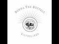Donna the Buffalo - Temporary Misery