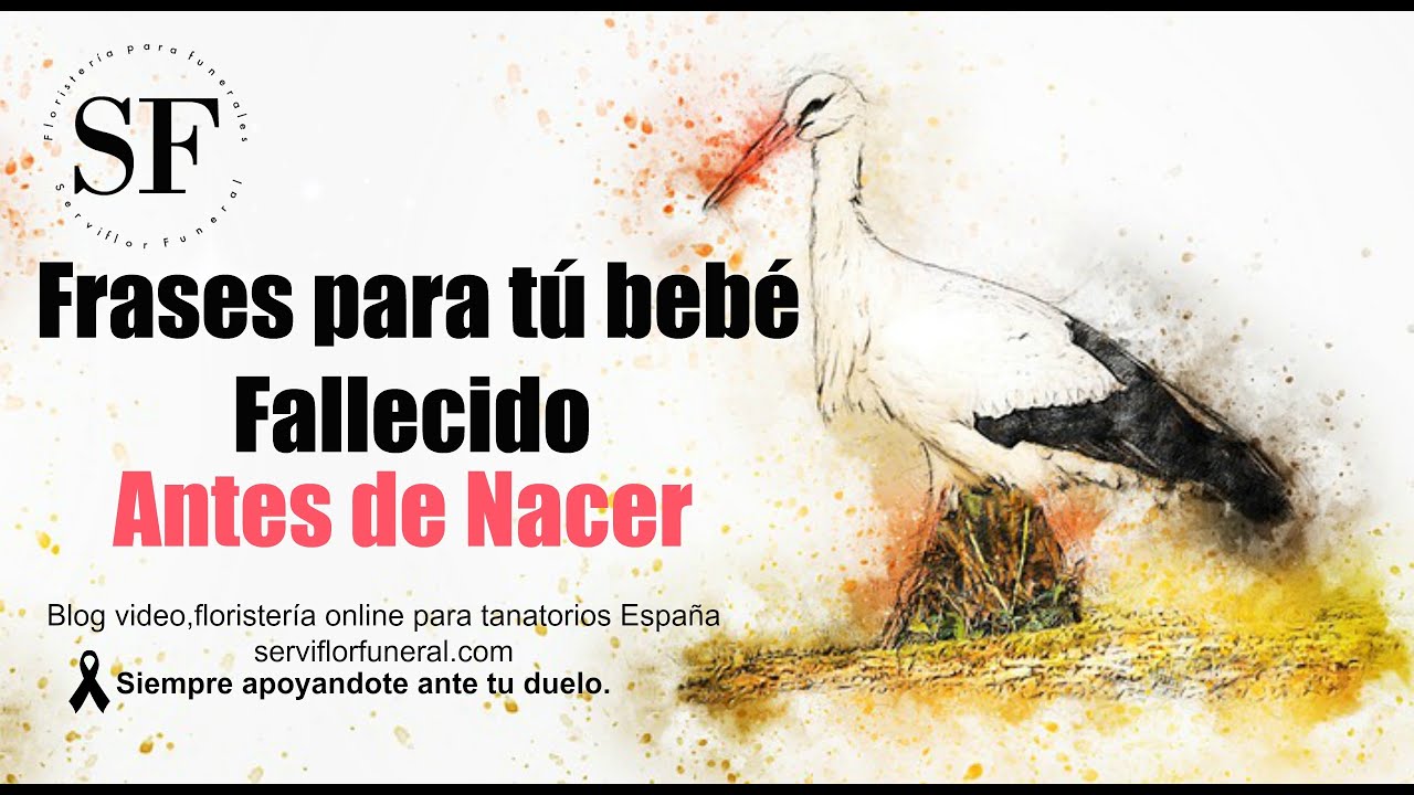 Watch Frases para tu bebé fallecido antes de nacer Now Frases para tu bebé fallecido antes de nacer