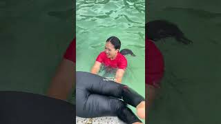 Download lagu Ayo saling bantu gaes🤣🤣 #gadisdesa #jandadesa #pedesaanjawabarat mp3