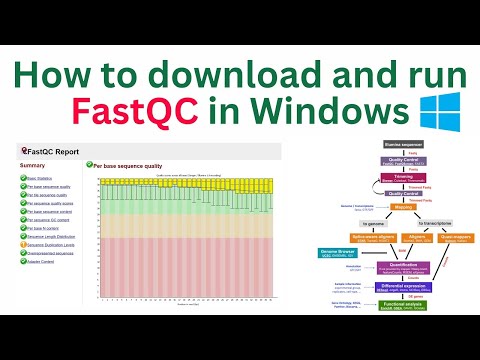 Analyzing SRA file by converting it into .fastq file and installing and viewing it in FASTQC