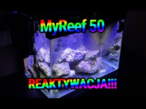 (130) MyReef 50 / Reactivation - Marine aquarium - Reef aquarium