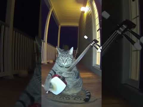 HUMOR PARA REIR TUNUYAN MENDOZA ARGENTINA NOVIEMBRE 2025