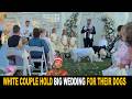 White Couple Hold Big Wedding Ceremony For Their Dogs