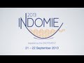 Teaser INDOMIE 2013