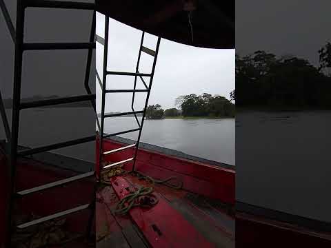 Rio Amazonas , próximo a Anamã!