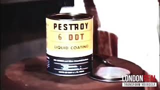 Alice Cooper - Beautiful Flyaway