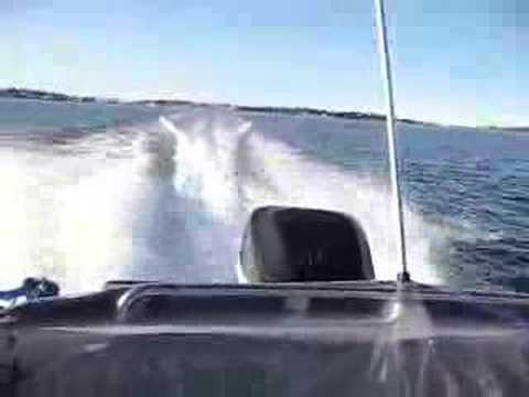 Bella 530 excel Mercury optimax 115hk