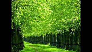 IF IT AIN'T BROKE  Whitey Morgan And The 78s