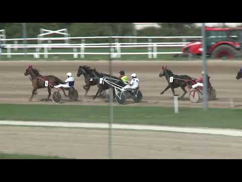 2017.08.26. 2. futam - NYERETLENEK VERSENYE I. RÉSZ