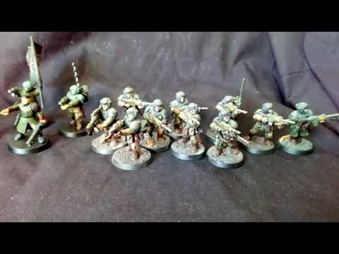 The start of my Imperial Guard Army