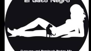 Lax vs. South: El Gato Negro (Curcuma & Baerlauchs Psychotec Mix)