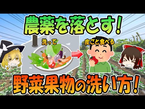 皮ごと食べられるかぼちゃはどれ? 植物