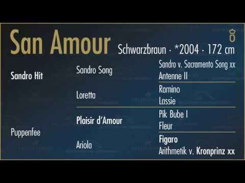 San Amour by Sandro Hit/Plaisir d'Amour
