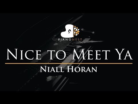 Nice to Meet Ya - Niall Horan - Piano Karaoke Instrumental Cover with Lyrics