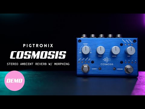 Pigtronix Cosmosis | Stereo Ambient Reverb with Morphing | Official Demo