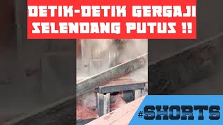 Download lagu Penggergajian kayu meranti | Detik-detik gergaji selendang putus#shorts#shortsvideoyoutube mp3