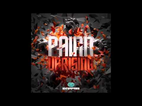 Painn - Counsiousness Revolution