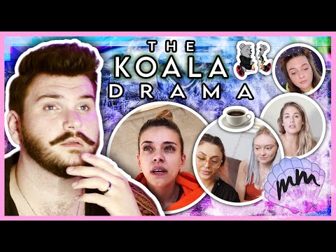 The Koala Drama