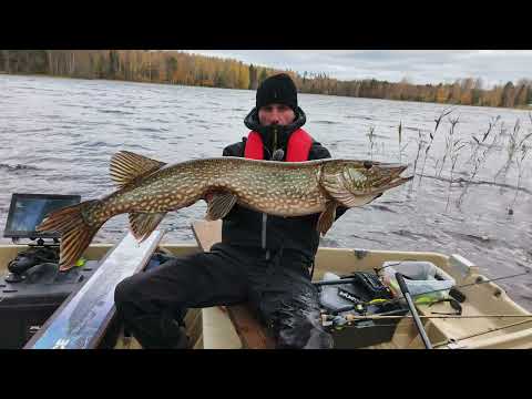 Hk-Open syksy 2025 päivä 1