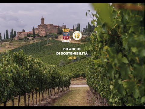 Giornata della Sostenibilità Banfi