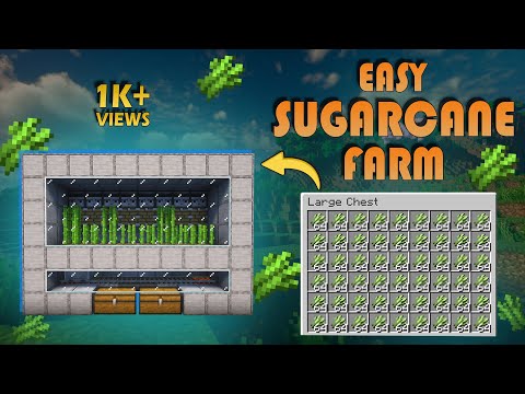 Easy Automatic Sugarcane Farm Tutorial – Fully Expandable! (Minecraft Java & Bedrock)