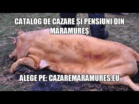 Cazare Rodina, Pensiuni Rodina - cazaremaramures.eu