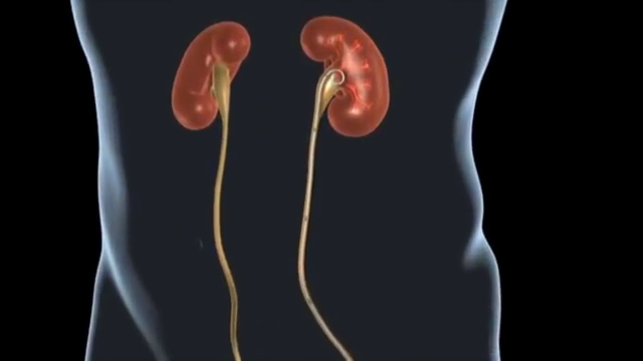 Alejandro Garza Martinez-64