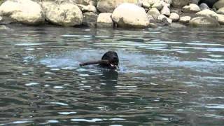 2011-02-12 - 寒流來還去竹崎公園游泳