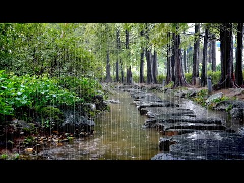 Rain Sounds Falling on a Beautiful Little Stream - The Best White Noise ASMR for Improving Insomnia