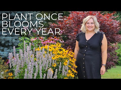 My 5 Must-Have Perennials (Perfect for Any Garden!)