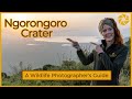 ONE DAY In The Ngorongoro Crater Is That Enough Time