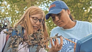 Discover Natural Resources & Environmental Sciences in ACES