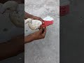 Kabutar Ko मारे नहीं इलाज़ Karen Kabutar Video ️ Shorts Virals Video Pig