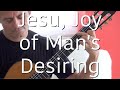 Jesu, Joy of Man's Desiring (J.S. Bach) Guitar {Ad Free Music | No Ads}