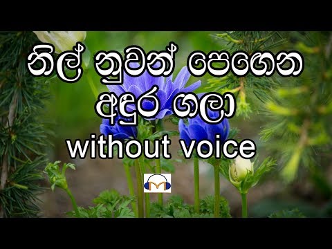 Nil nuwan pegena Karaoke (without voice) නිල් නුවන් පෙඟෙන අඳුර ගලා