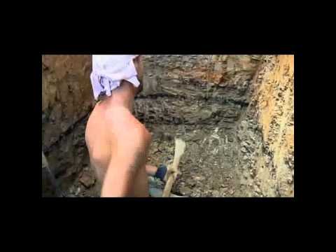 Jesco White+Hank III