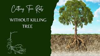 Cutting Tree Roots Without Killing Tree. The Gardening Tips for your Garden. @HowAGardenWorks