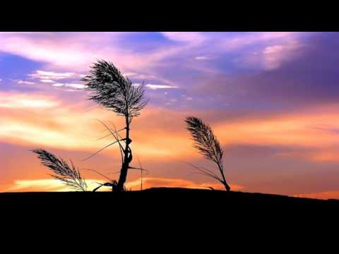 Mango & Andre Frauenstein ft Ludmik-Disappear(Original Mix)