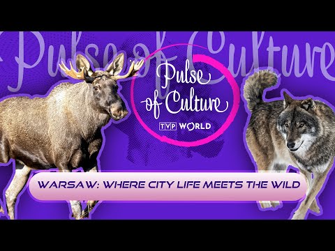 The flavors and creatures of a Warsaw autumn | Pulse of Culture