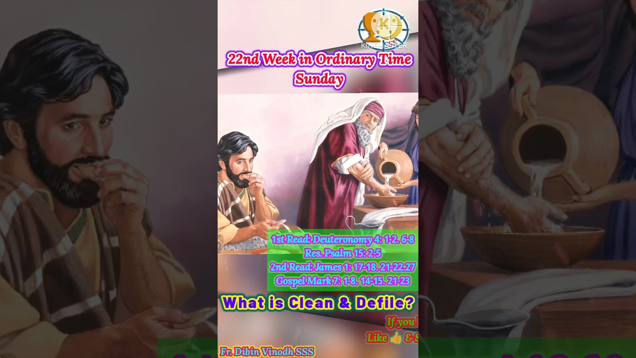 Today's reflection, sunday reflection, sunday sermon, sunday homily, short sunday sermon, Jesus