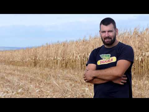 Biram selo ep. 54 30.09.2020. Miloš Stojadinović, Banatski Brestovac, kukuruz, žetva